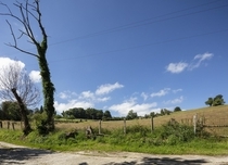 Property image S141