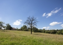 Property image S141