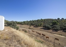 Property image S151