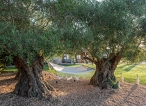 Property image S153