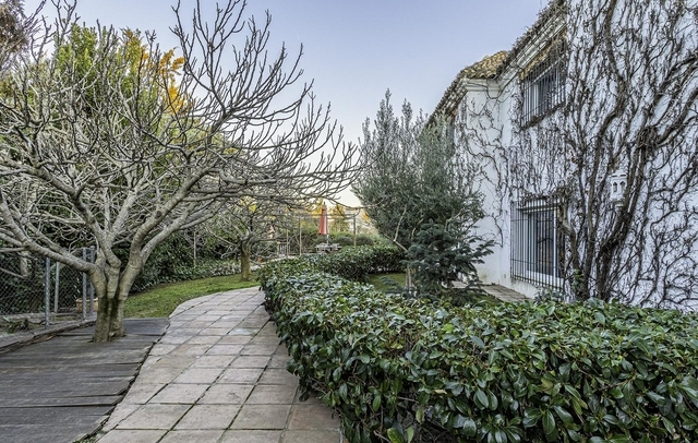 Fotografia propiedad S162