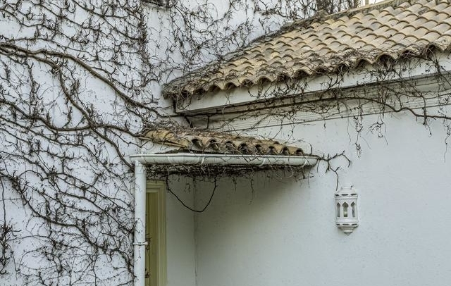 Fotografia propiedad S162