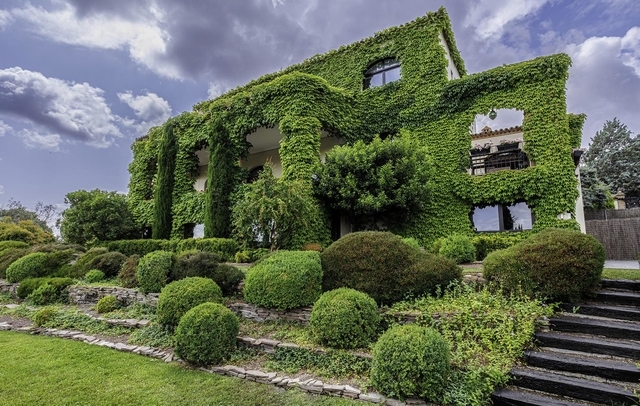 Fotografia propiedad S165