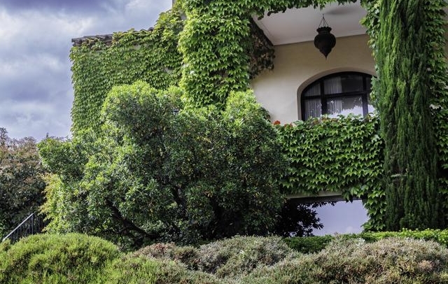 Fotografia propiedad S165