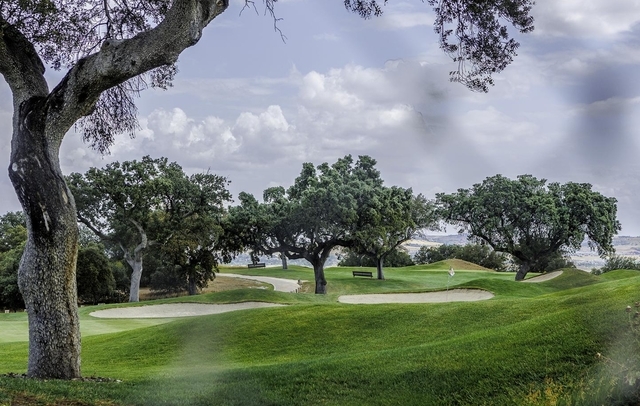 Fotografia propiedad S165