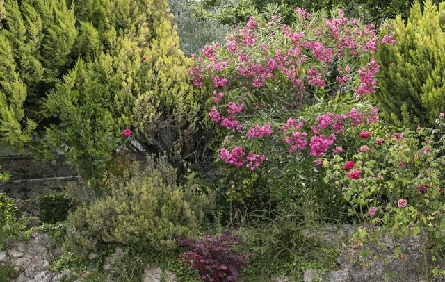 Fotografia propiedad S17