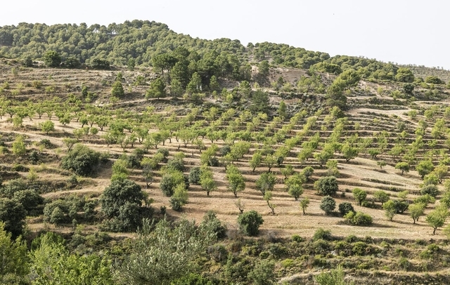 Fotografia propiedad S17