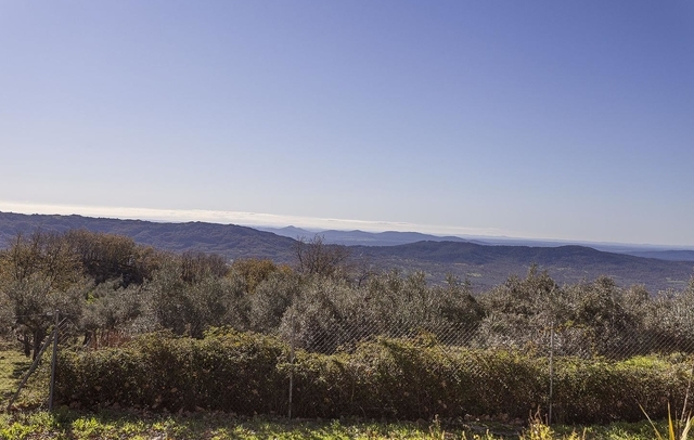 Property image S183