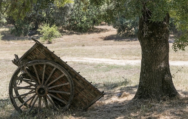 Fotografia propiedad S11