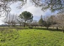 Property image S187