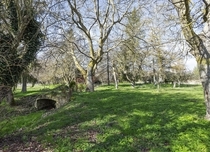 Property image S187