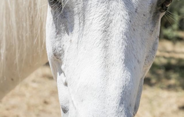 Fotografia propiedad S11