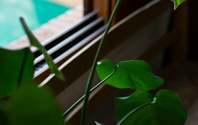 Fotografia propiedad S200