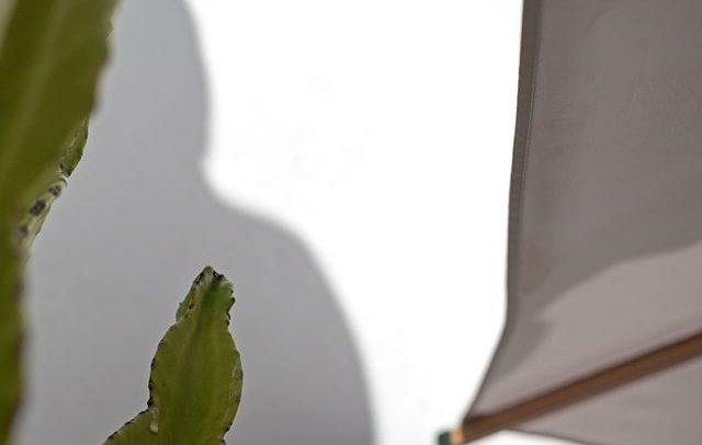 Fotografia propiedad S200