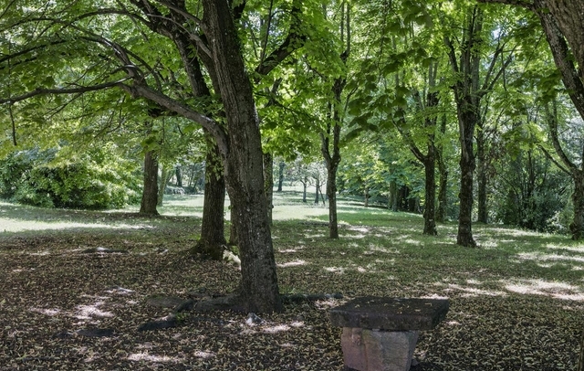 Fotografia propiedad S4