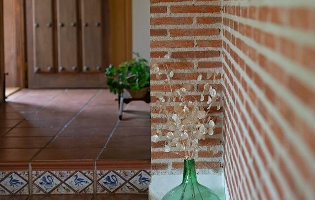 Fotografia propiedad S202