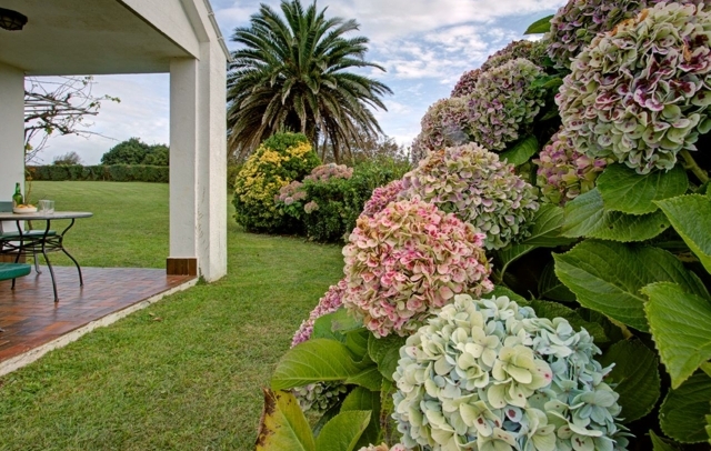 Fotografia propiedad S204