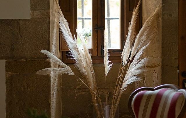 Fotografia propiedad S203