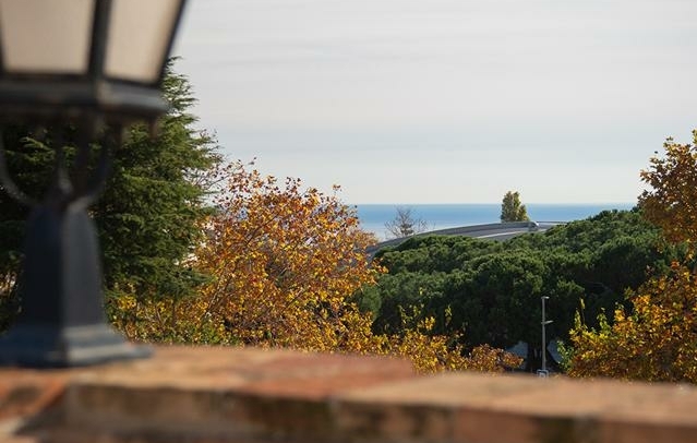 Property image S206