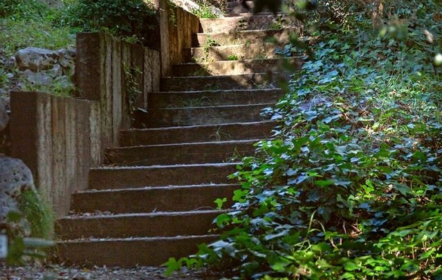 Property image S207