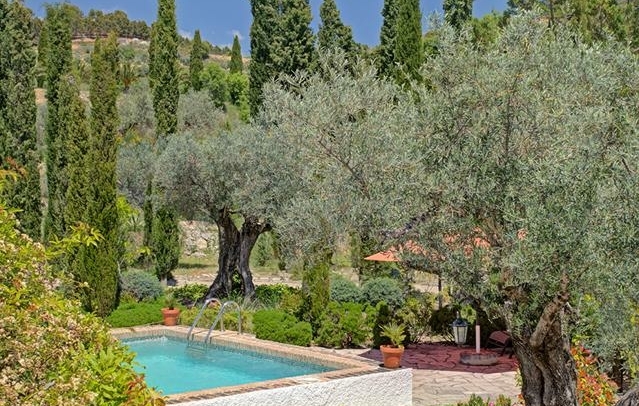 Fotografia propiedad S219