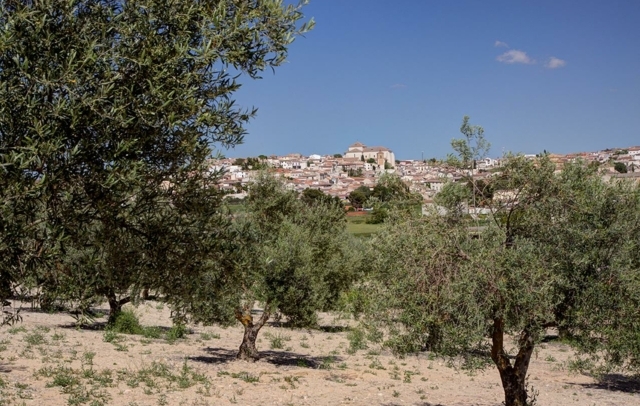 Fotografia propiedad S219