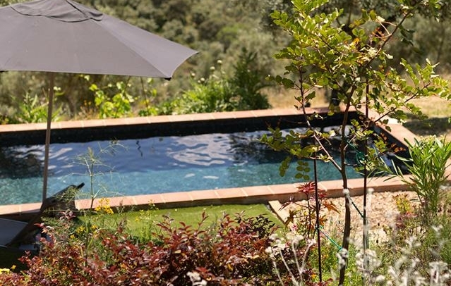 Fotografia propiedad S221