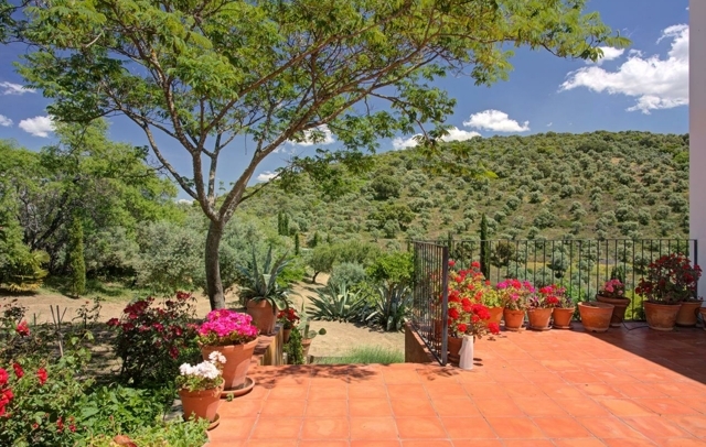 Fotografia propiedad S221