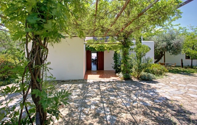 Fotografia propiedad S221