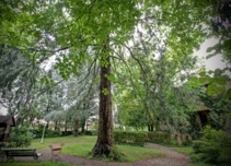 Property image S224