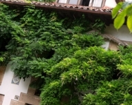 Property image S224