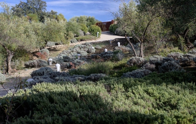 Fotografia propiedad S231