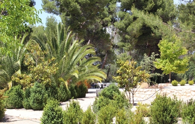 Fotografia propiedad S45